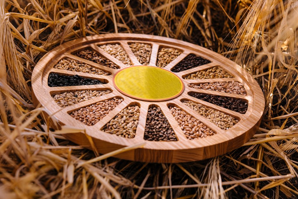 Different types of cereal grains with ears
