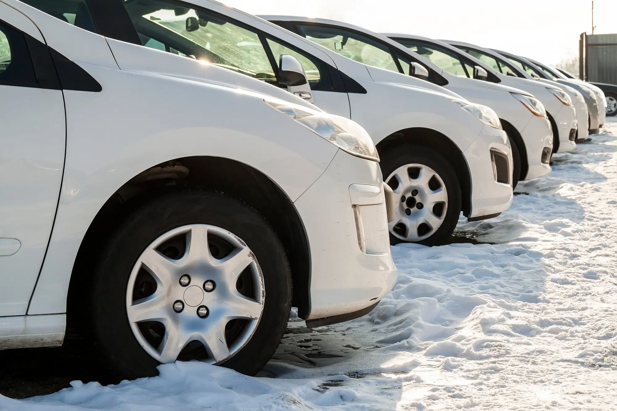 Vehicle Fleet Tracking and Management