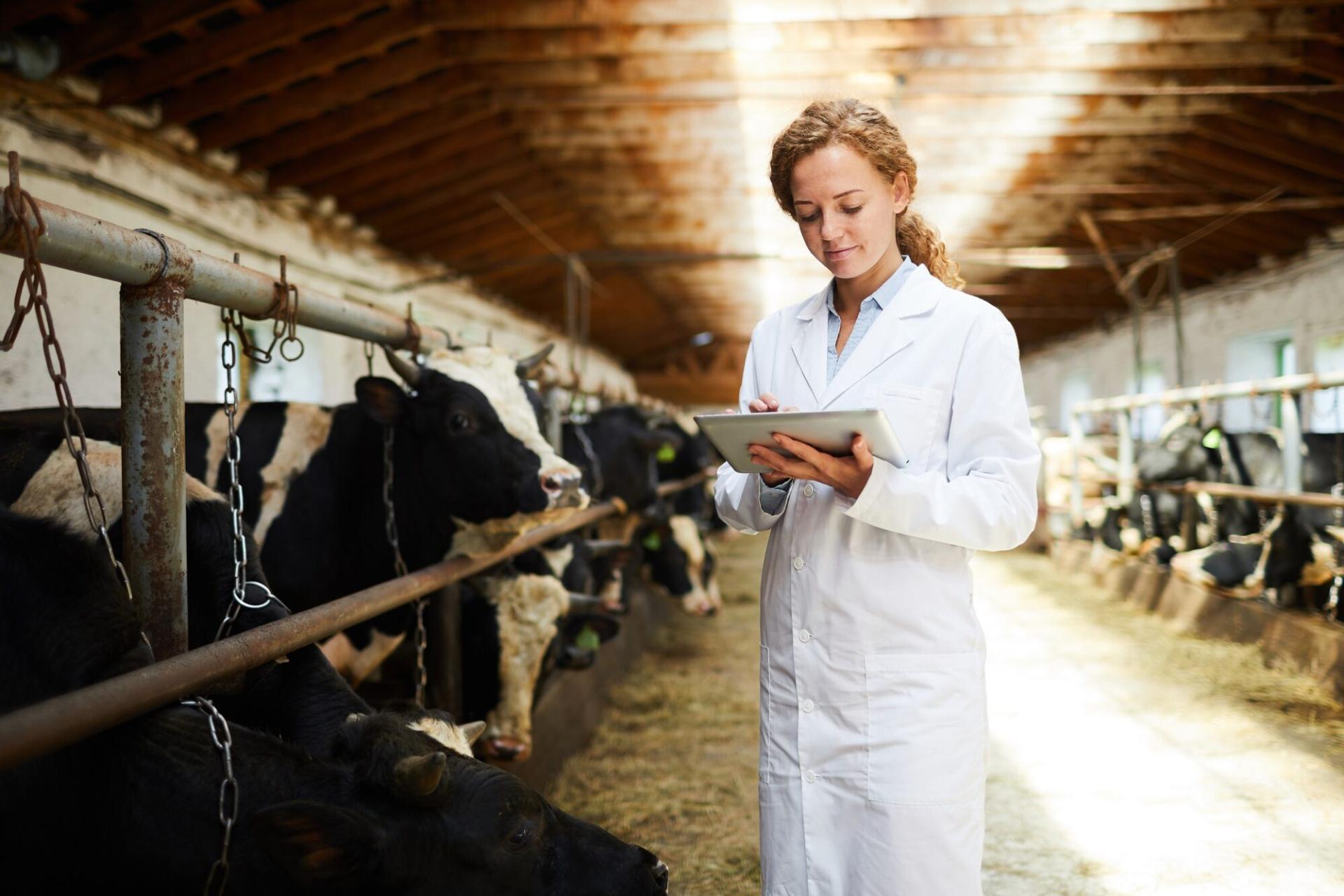 Precision Livestock Monitoring