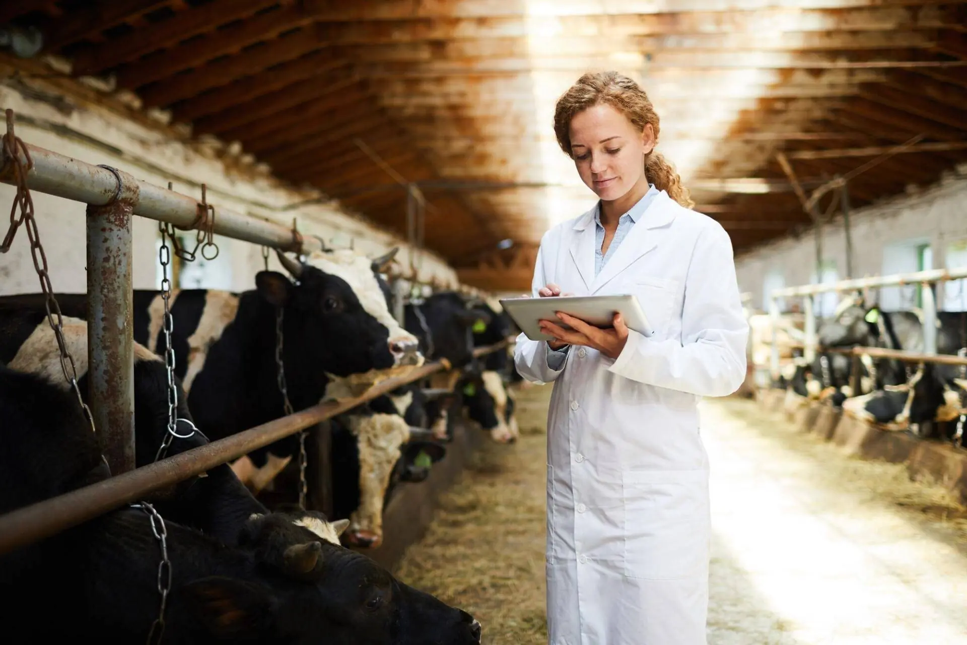 Precision Livestock Monitoring
