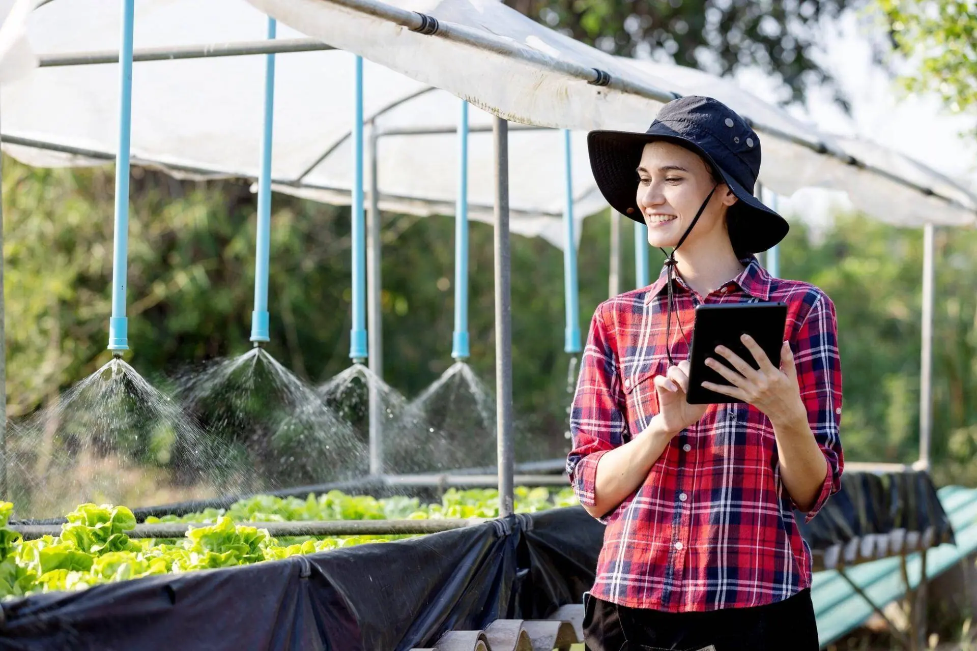 Automated Irrigation System